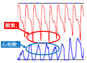 無呼吸（酸欠）によって心拍数が上がる？
