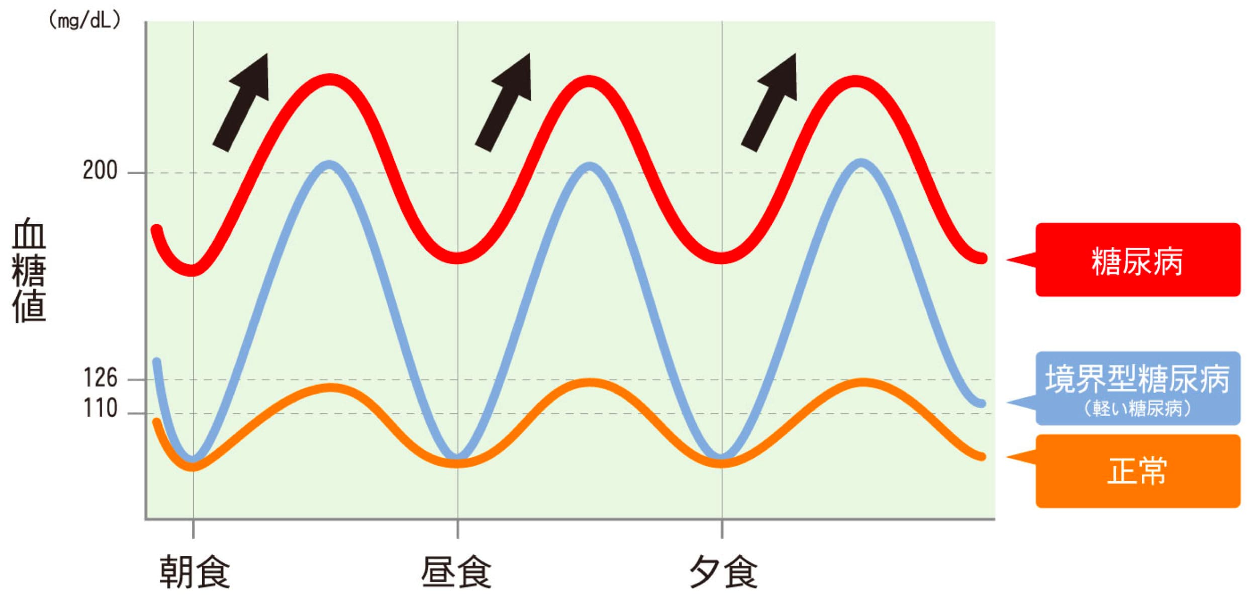 血糖値とは？