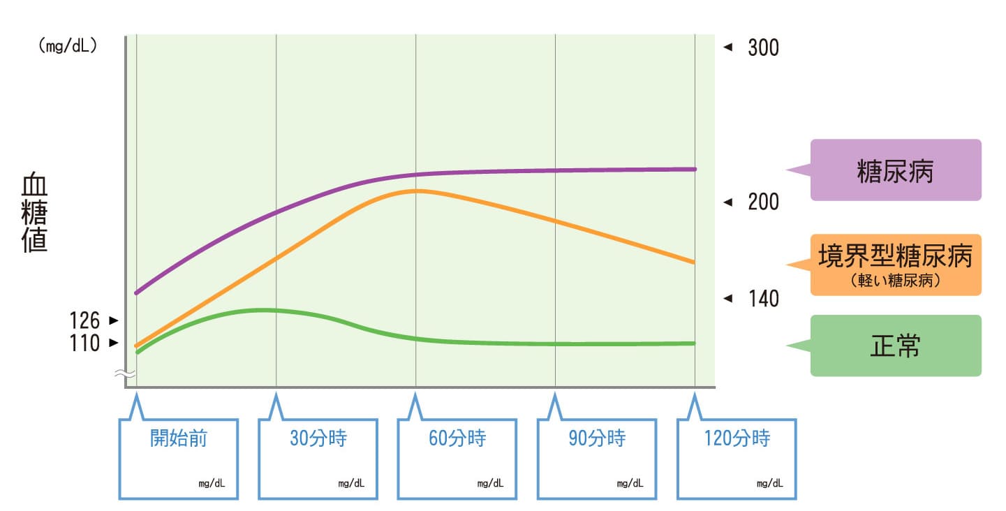 負荷試験における血糖値の動き