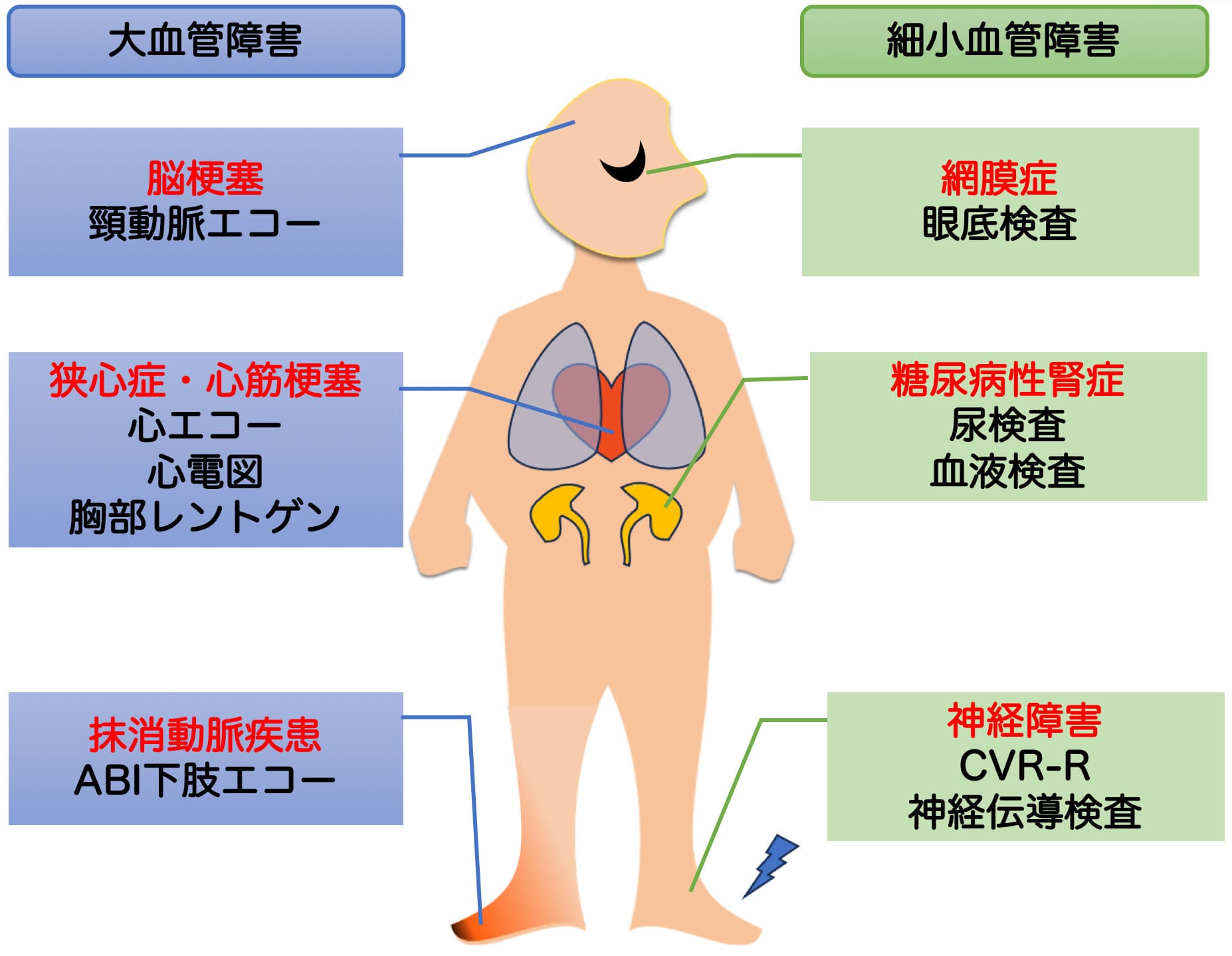 合併症の検査