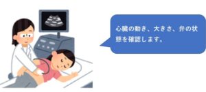 心エコー検査をしているイラスト　神戸市灘区　六甲道　おおや内科　糖尿病・心臓クリニック　循環器内科　糖尿病内科