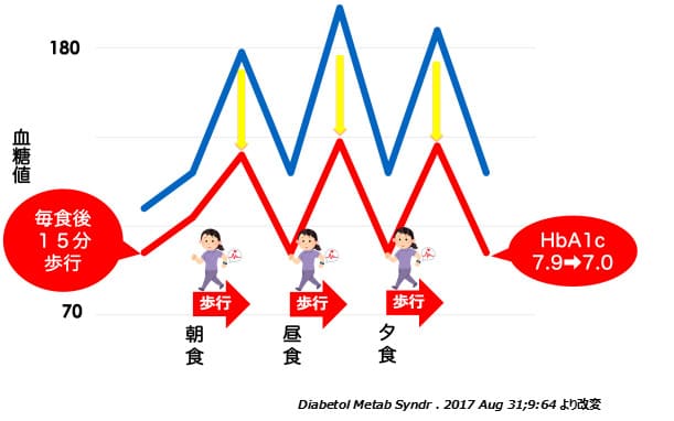 毎食後の運動で食後の血糖値低下