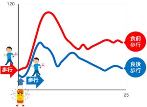 食事の前に歩行した場合と食事の直後に歩行した場合の血糖値の変動を比較したグラフ　神戸市灘区　六甲道のおおや内科　食後運動で血糖値スパイクを予防
