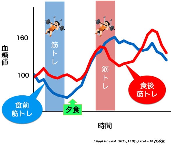 食後の筋トレで食後の血糖値低下