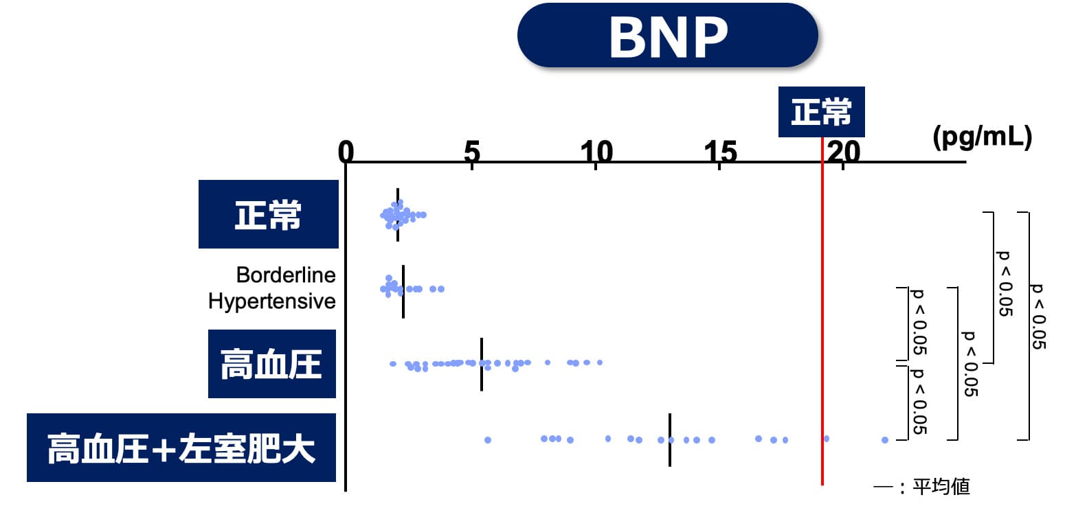 高血圧の影響がBNPに現れる