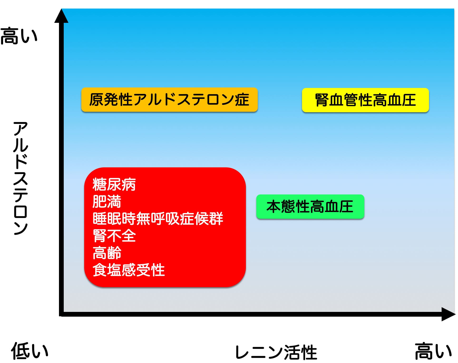 血液検査から高血圧のタイプを探る