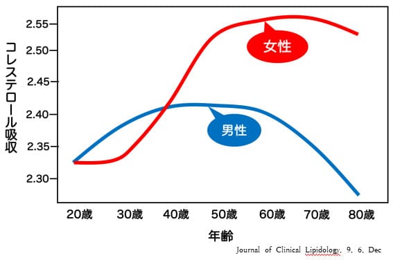 閉経後の女性ホルモン低下➡腸管コレステロール吸収亢進