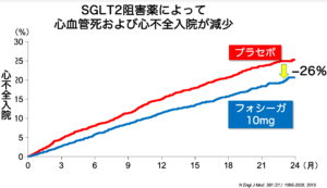 SGLT2阻害薬によって心血管死および心不全入院が減少