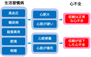 生活習慣から心不全に