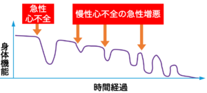 急性心不全と慢性心不全