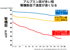 アルブミン尿が多い程腎機能低下の速度が速くなることを表したグラフ