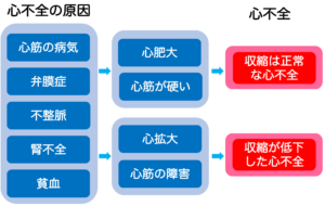 その他の心不全の原因