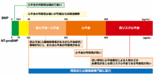 血中BNPやNT-proBNPと心不全の程度の関係を示したグラフ　循環器専門医へ紹介する基準値などが詳細に紹介されている　神戸市灘区　おおや内科　　