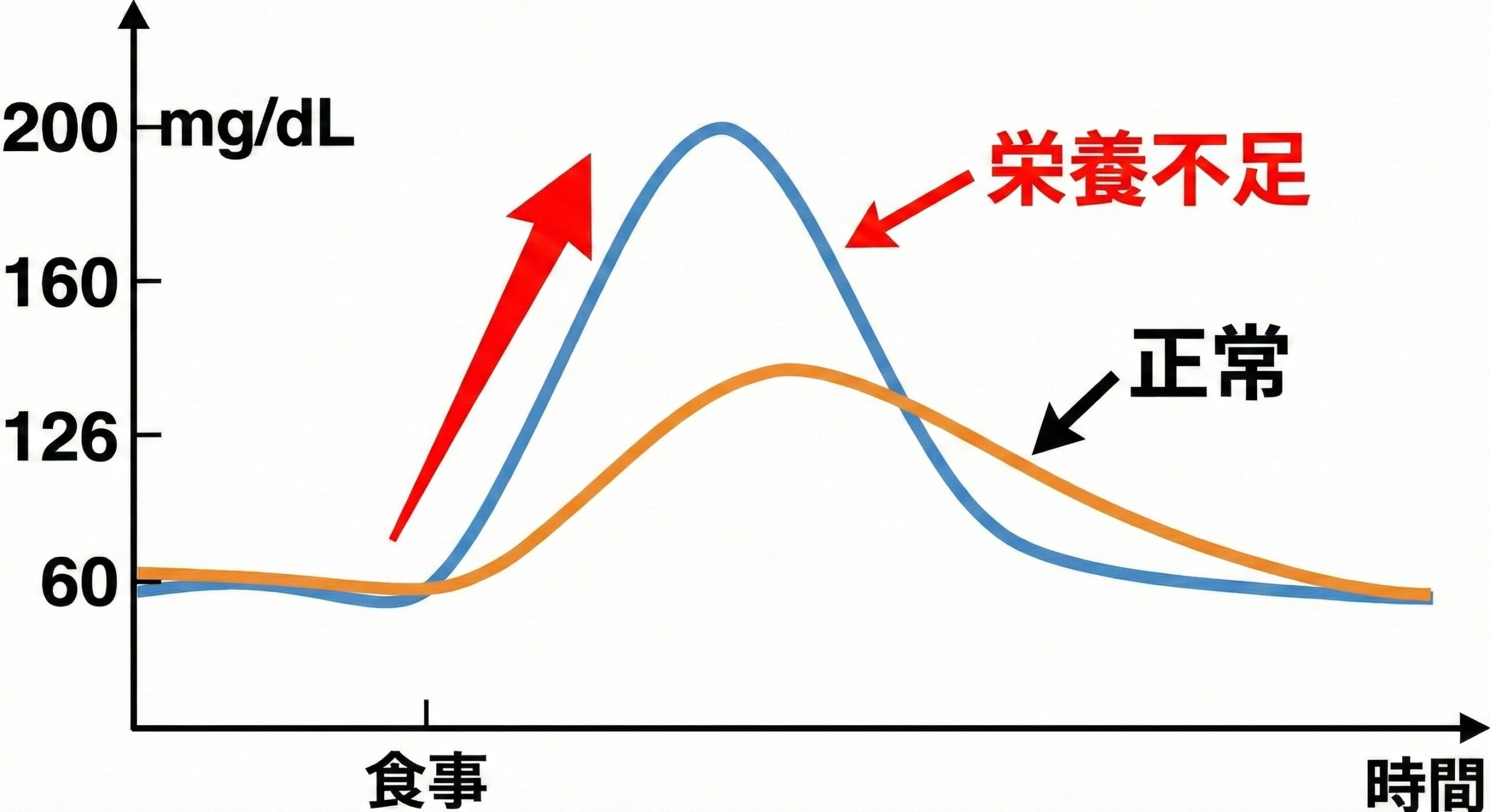 血糖値が下がる！見直すべき栄養素とは