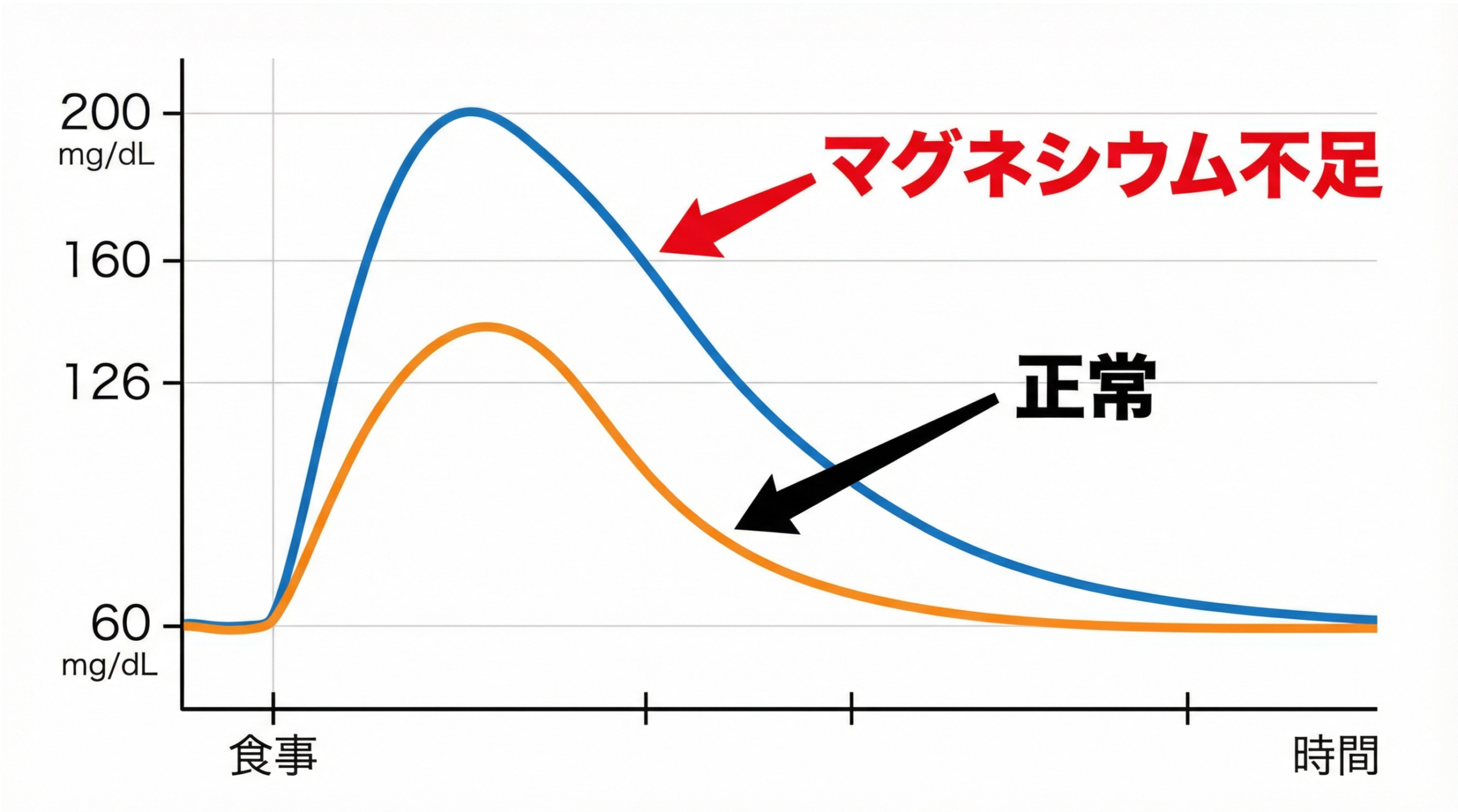 【第2回】血糖値が下がる！見直すべき栄養素は「マグネシウム」だった